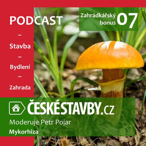 Podcast ČESKÉ STAVBY.cz